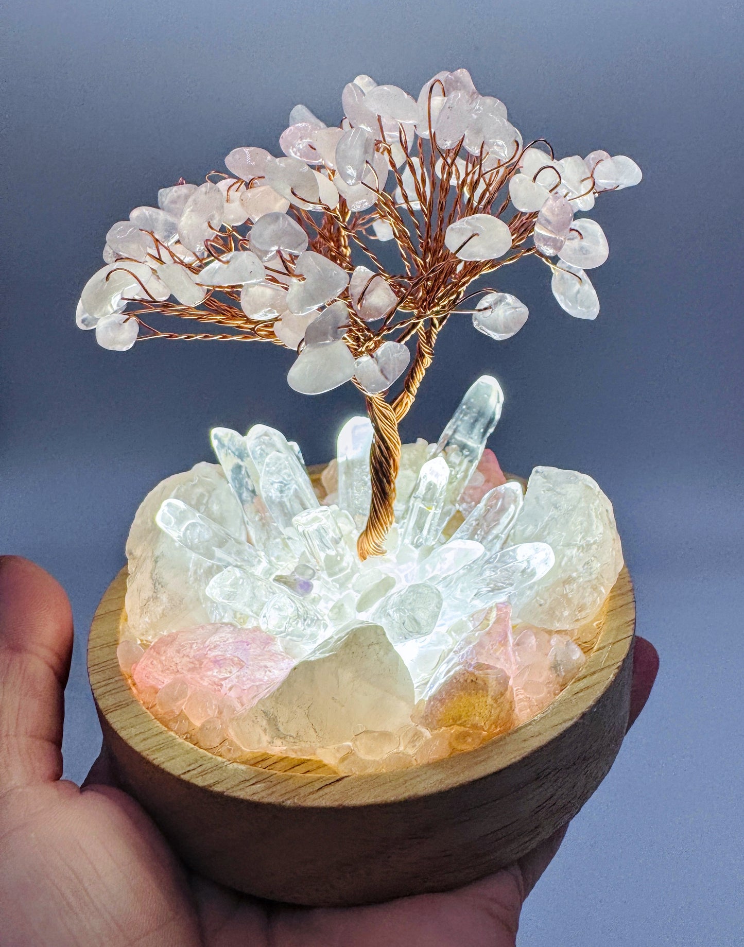 Rose Quartz & Rose Quartz Tree Cluster Lamp/LG