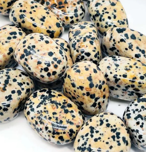 Dalmatian Jasper Tumble