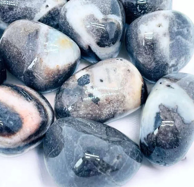 Shell Jasper Tumble