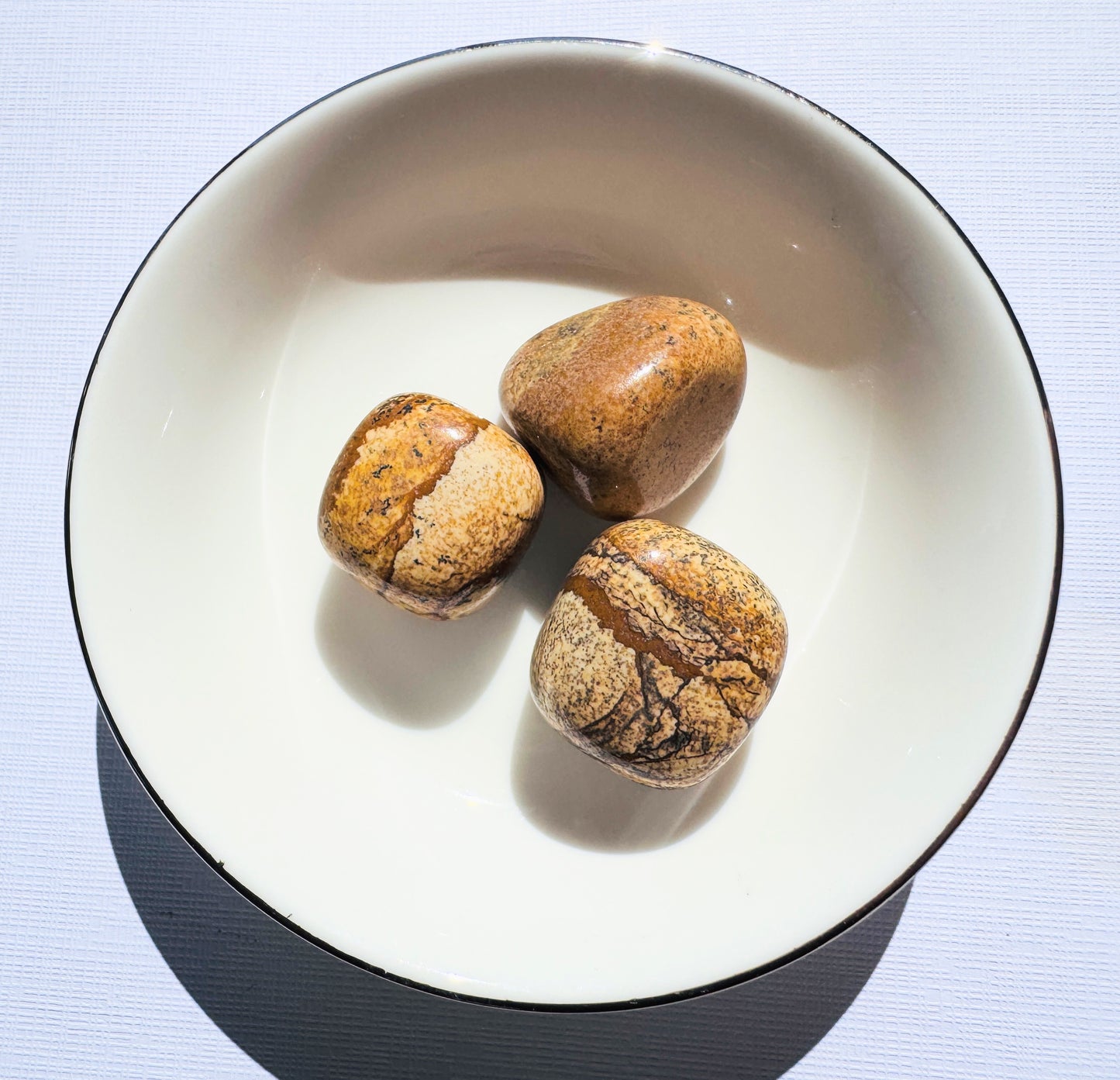 Picture Jasper Tumbles