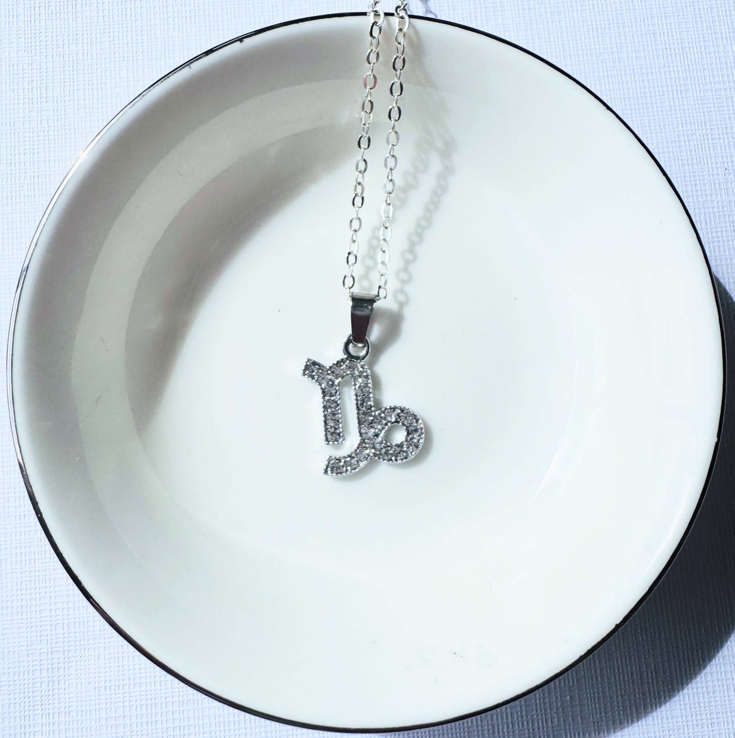 Zodiac charm pendant ( chain)