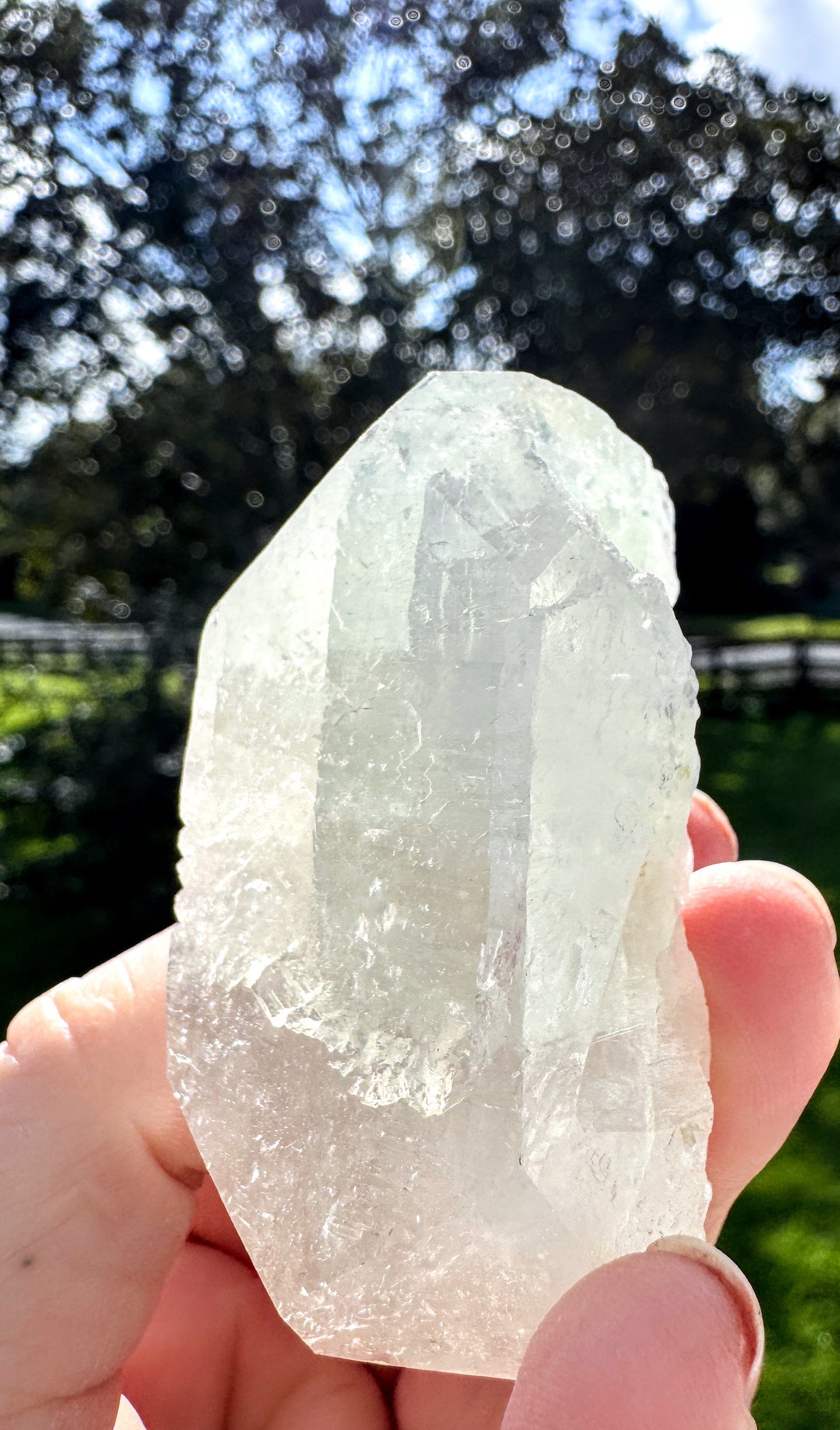 Apophyllite #5