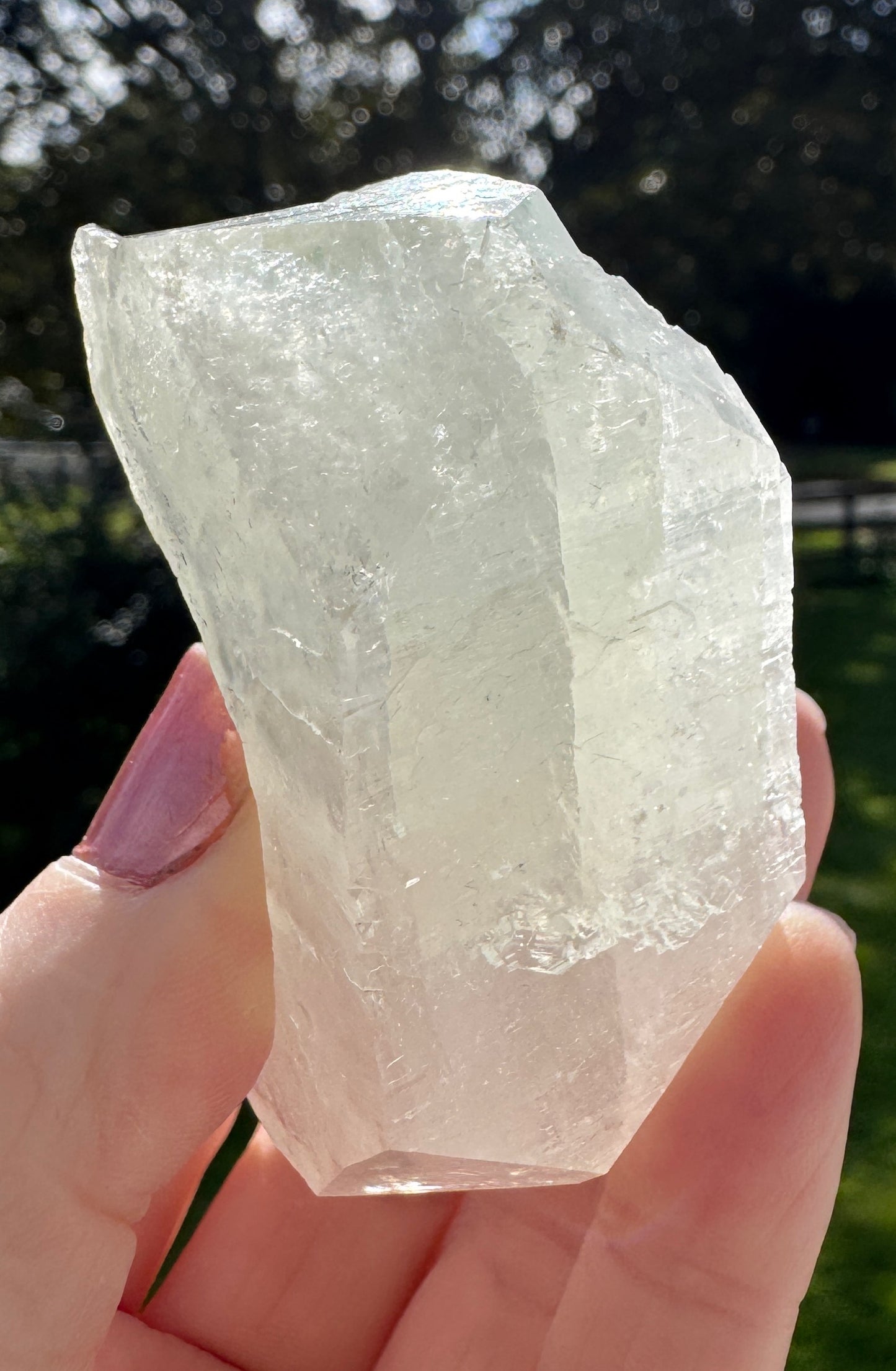 Apophyllite #5