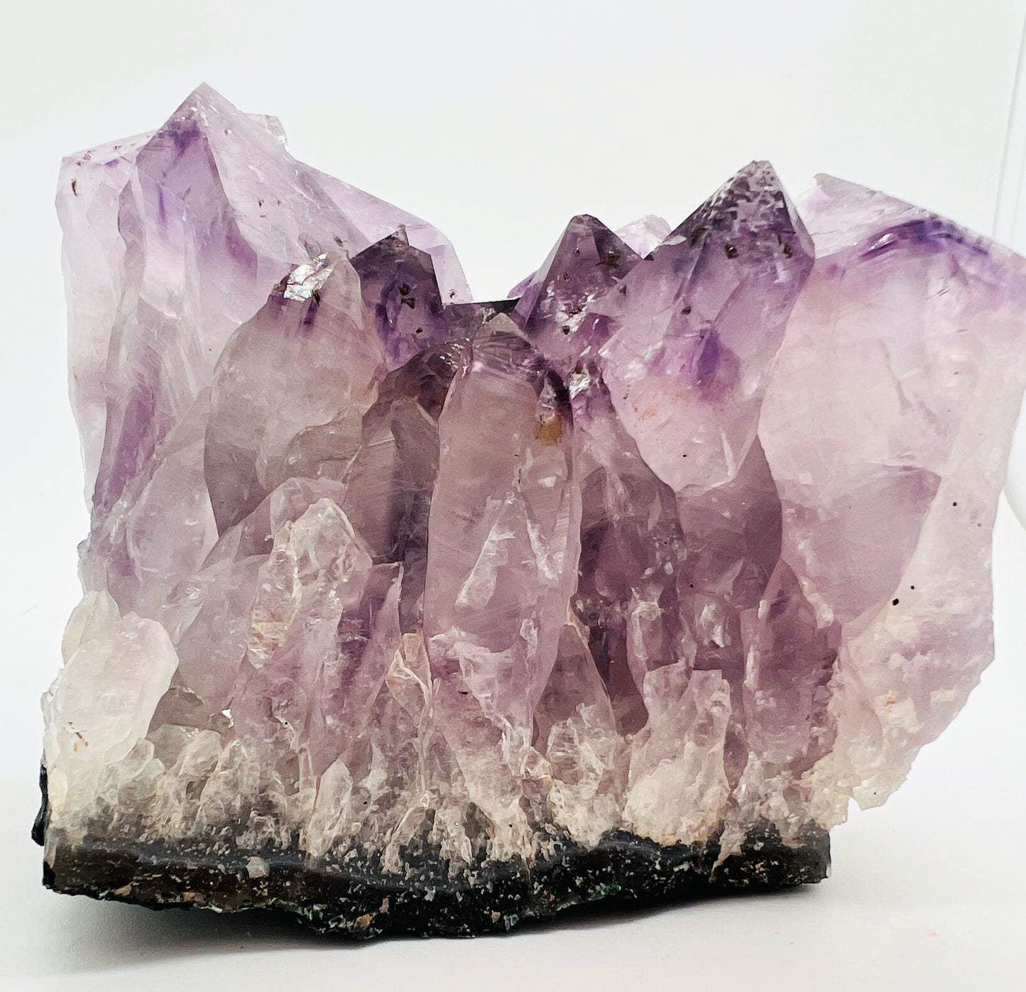 Large Amethyst cluster on white background