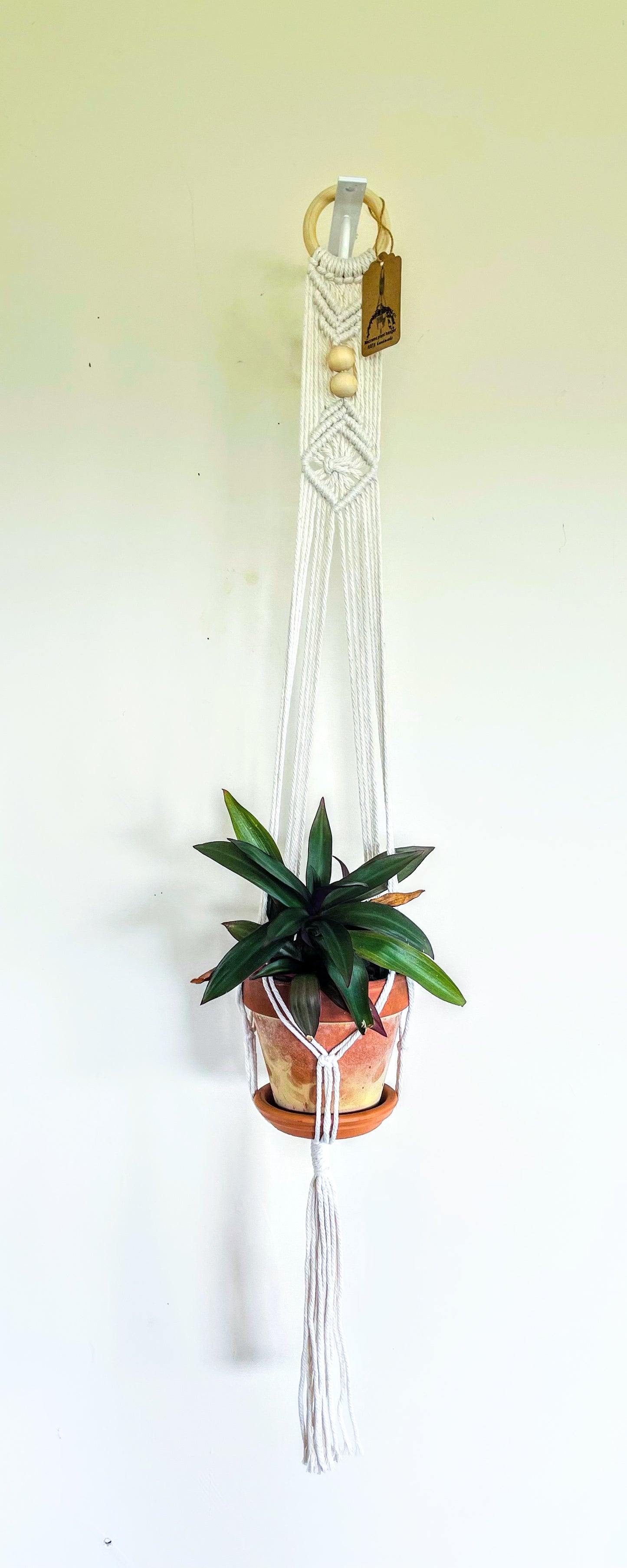 Macrame Plant Hanger 3B