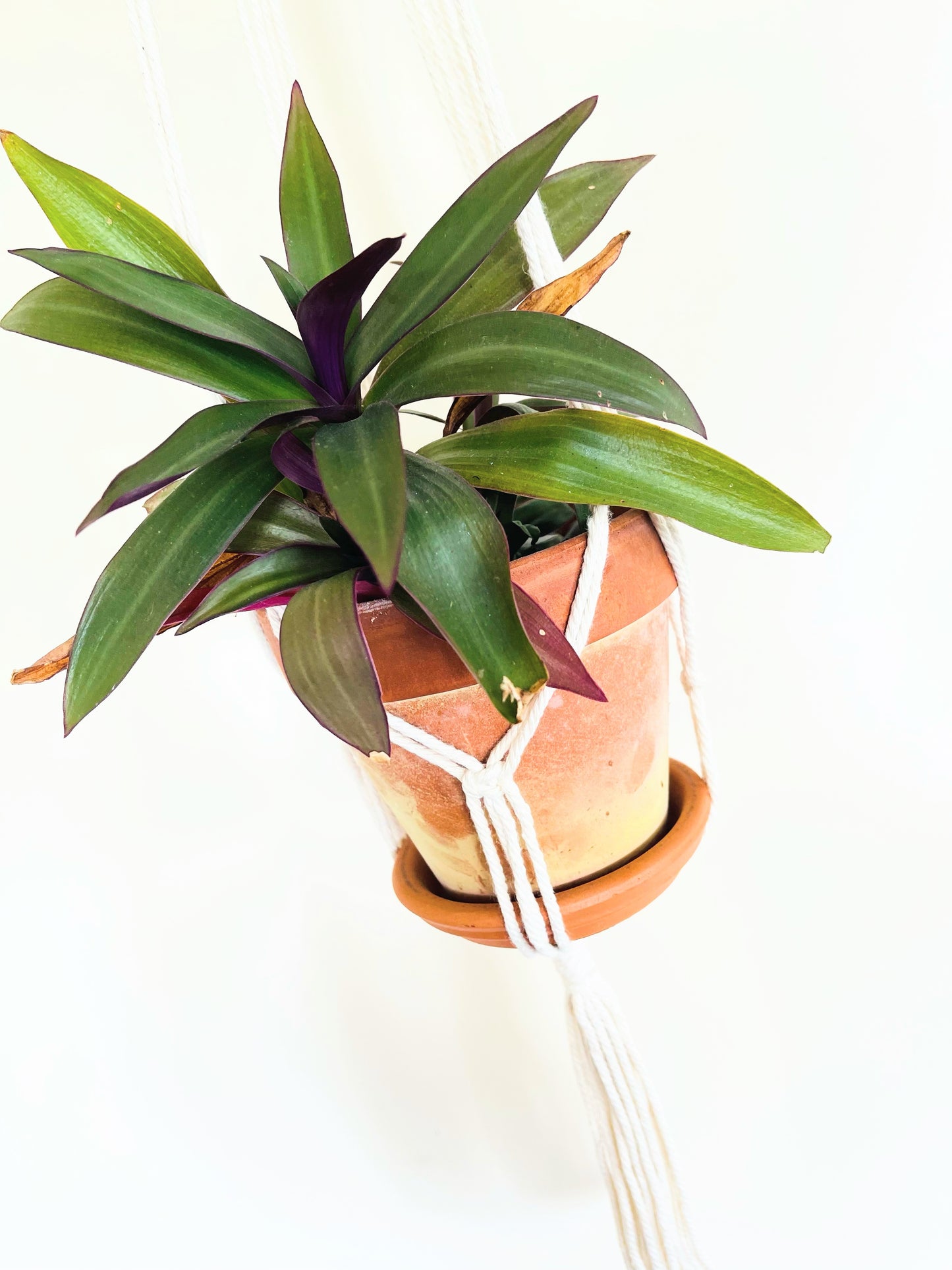 Macrame Plant Hanger 3B