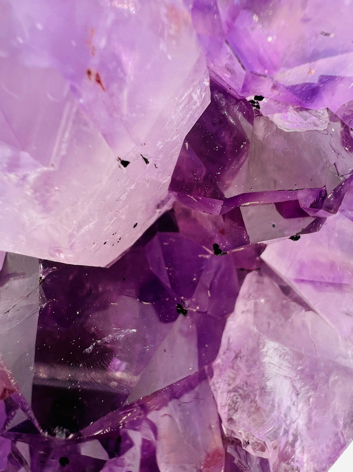 Large amethyst cluster on white background