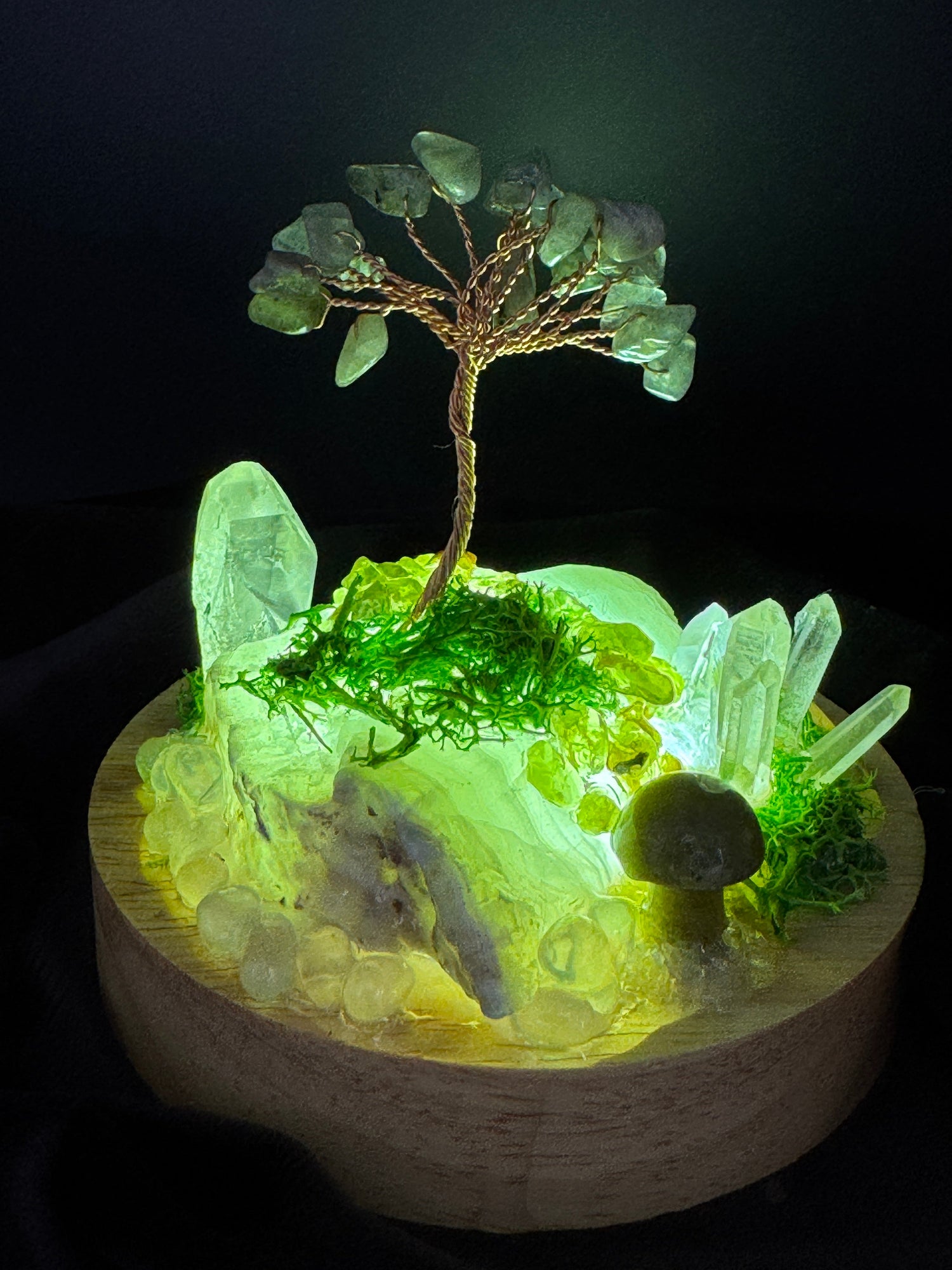 Crystal Light Gardens