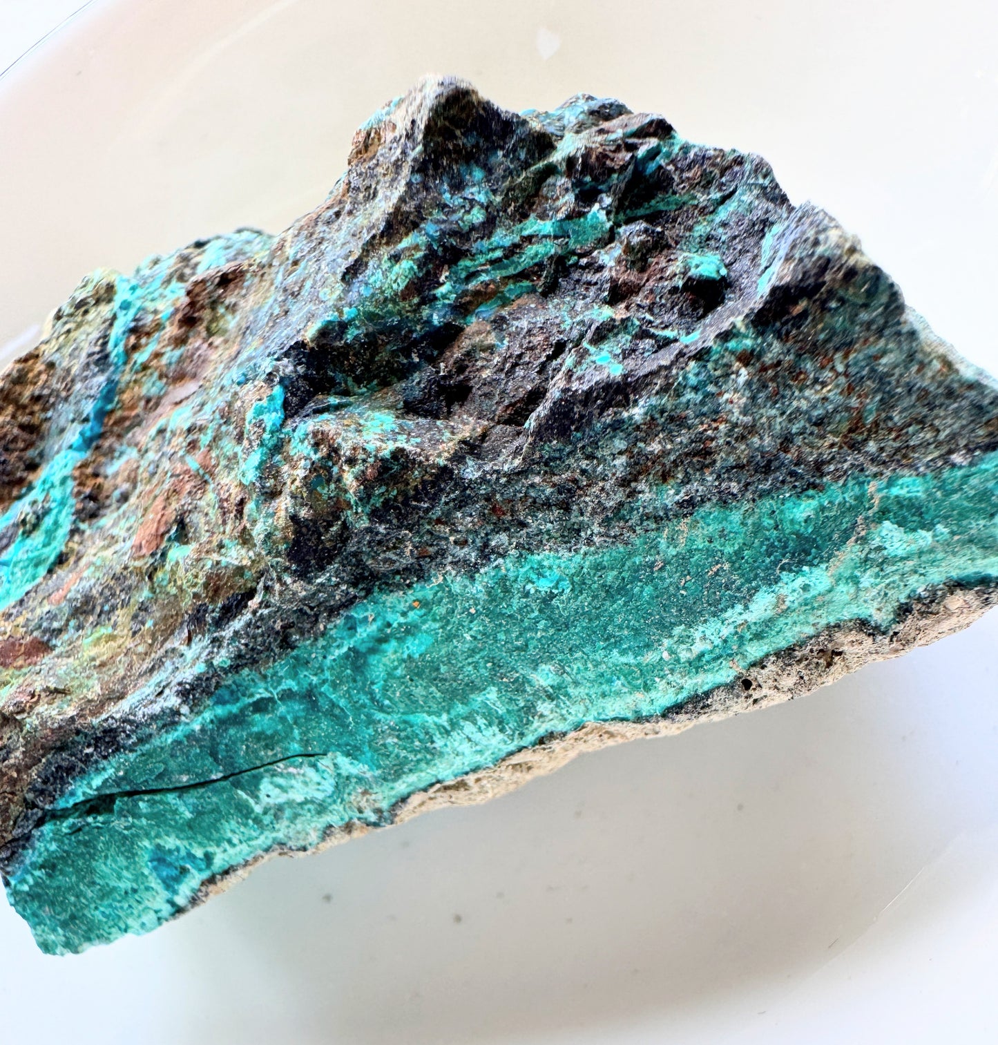 Rough Chrysocolla Specimens showcasing vibrant turquoise and blue-green hues in natural form.