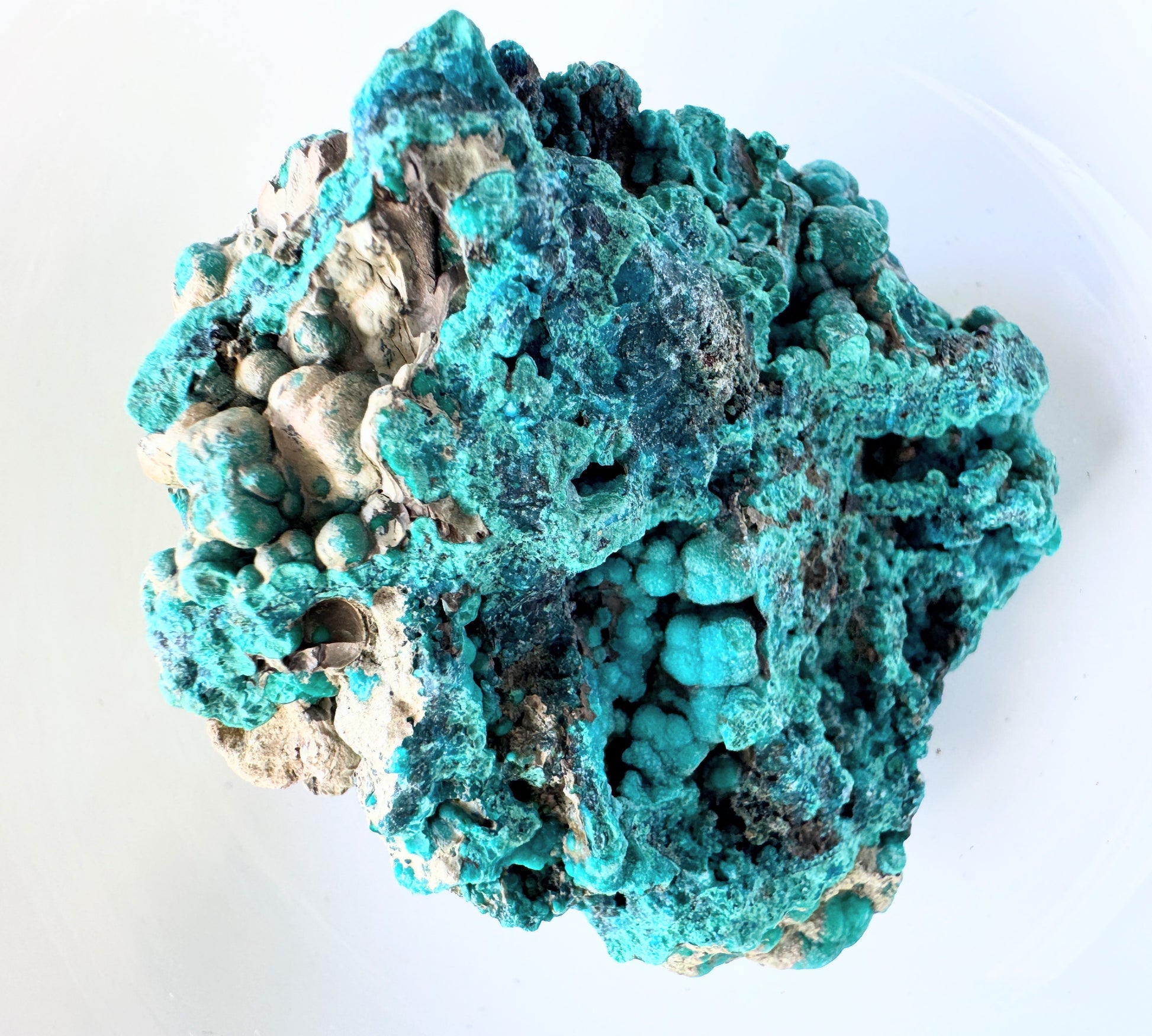 Rough chrysocolla specimens showcasing vibrant turquoise and blue-green hues in a natural form.