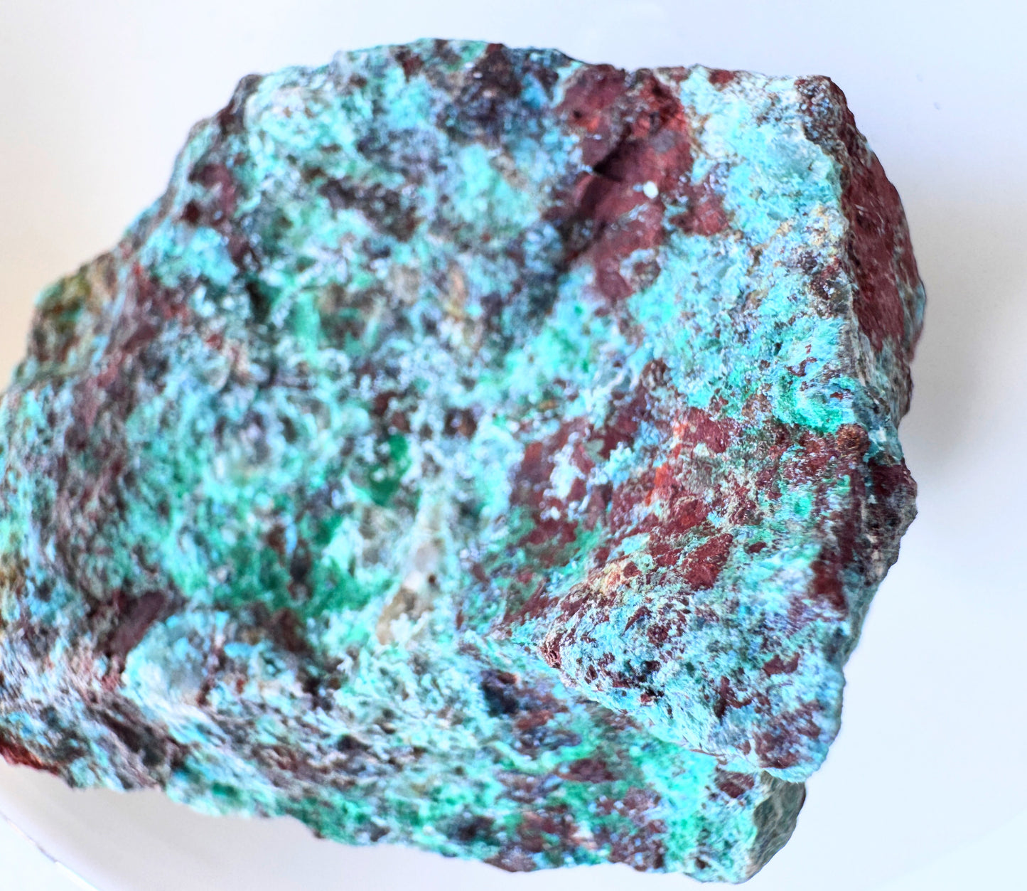 Rough Chrysocolla Specimens showcasing vibrant turquoise and blue-green hues in natural, unpolished form.
