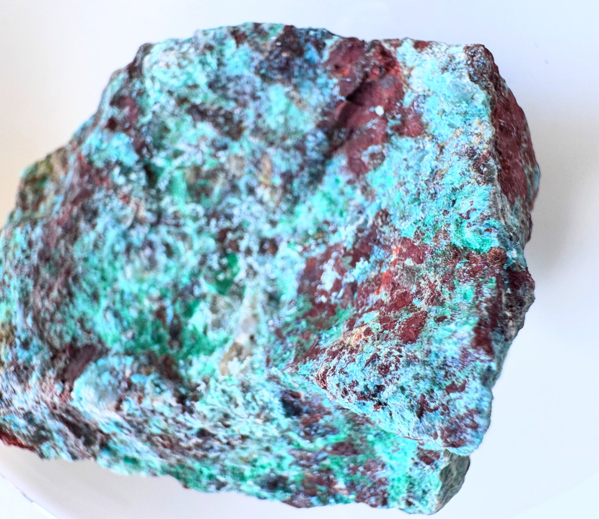 Rough Chrysocolla Specimens showcasing vibrant turquoise and blue-green hues in natural, unpolished form.