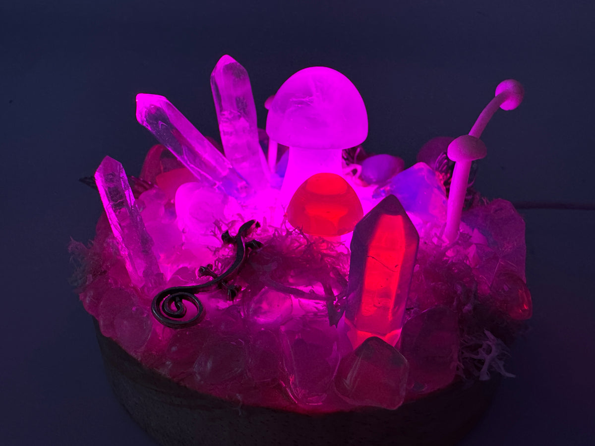 Fairy Crystal Garden Lamp ( Rainbow)