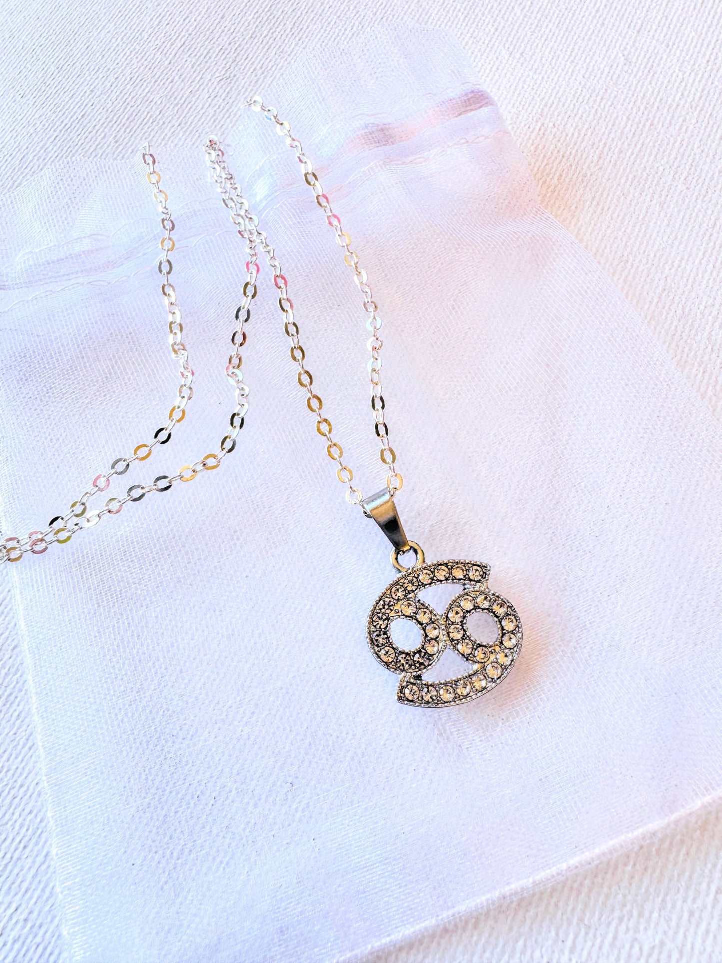 Zodiac charm Necklace.