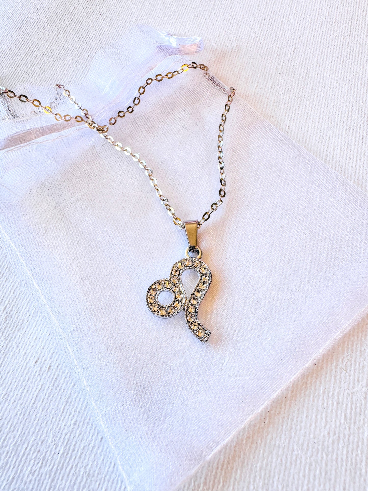 Zodiac charm Necklace.