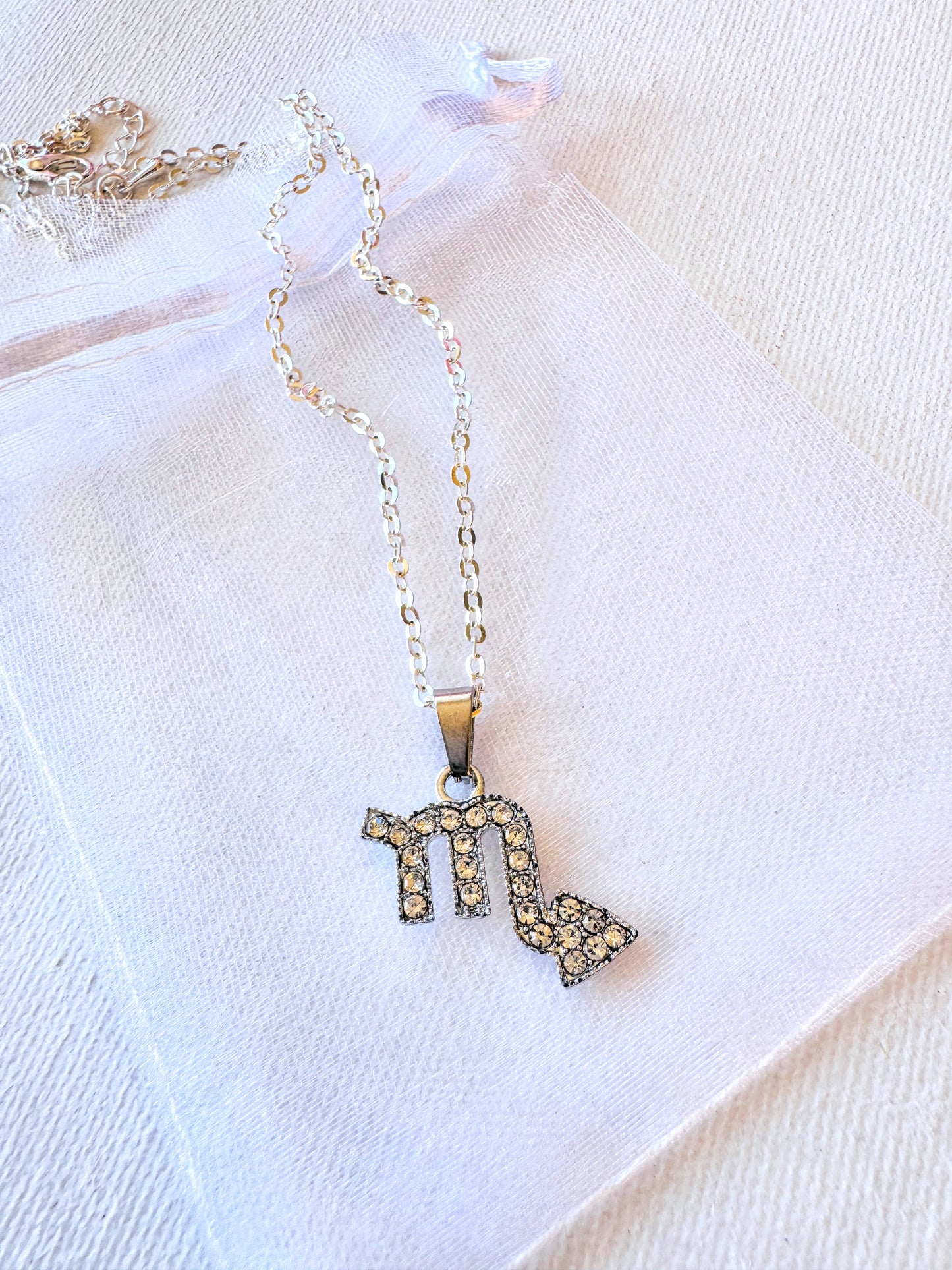 Zodiac charm Necklace.