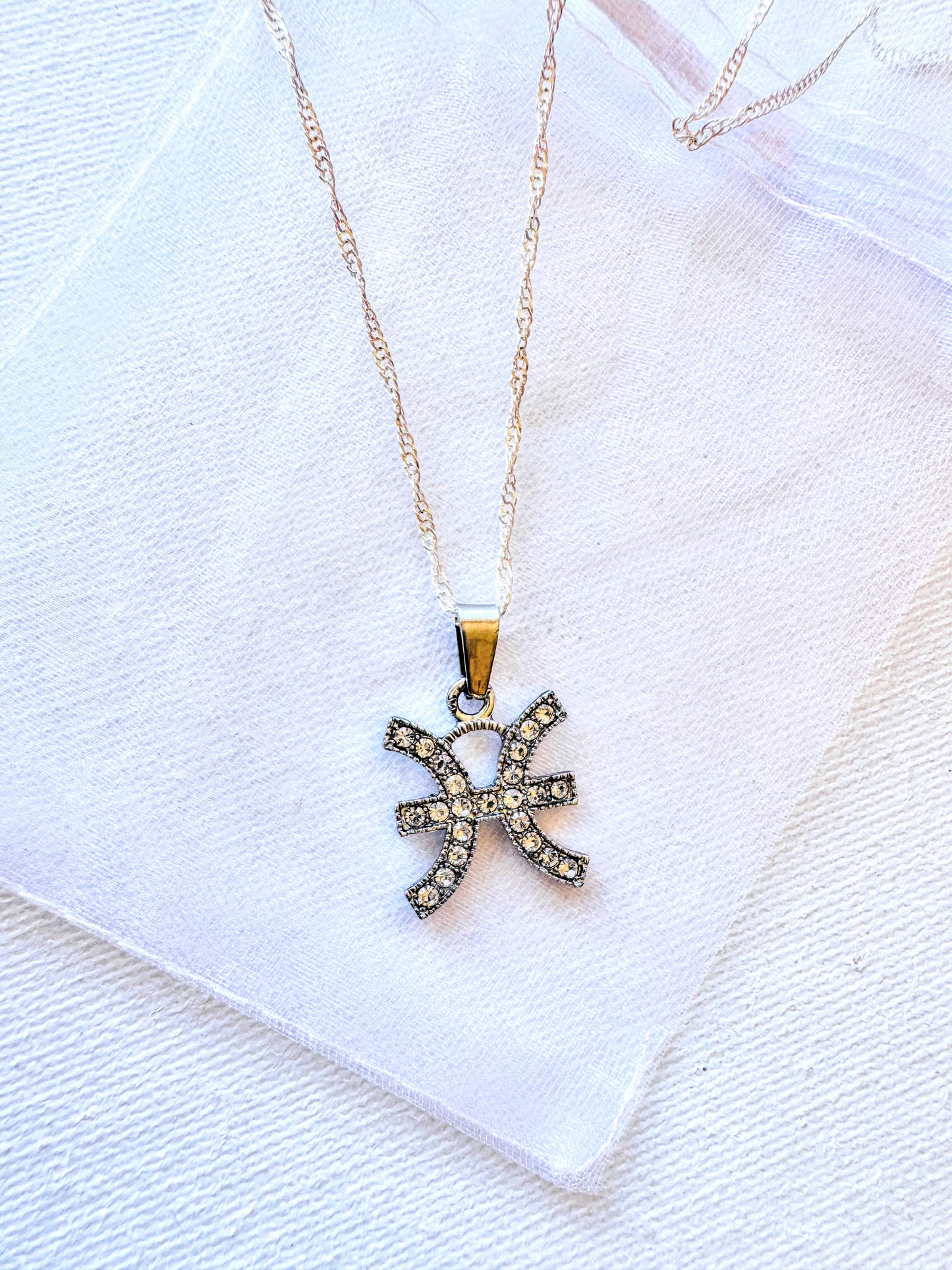 Zodiac charm Necklace.