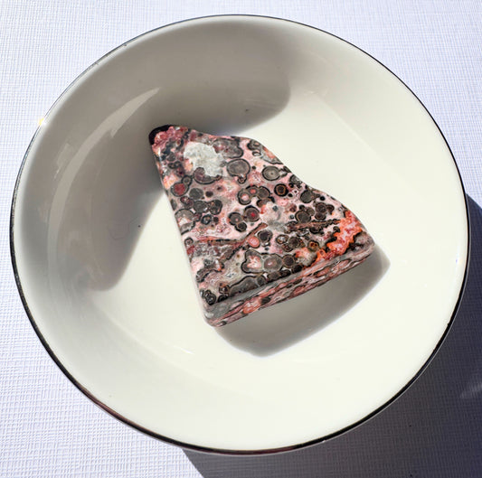 Leopard Skin Jasper Slab