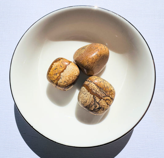 Picture Jasper Tumbles