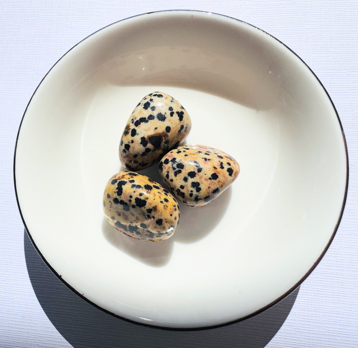 Dalmatian Jasper Tumble