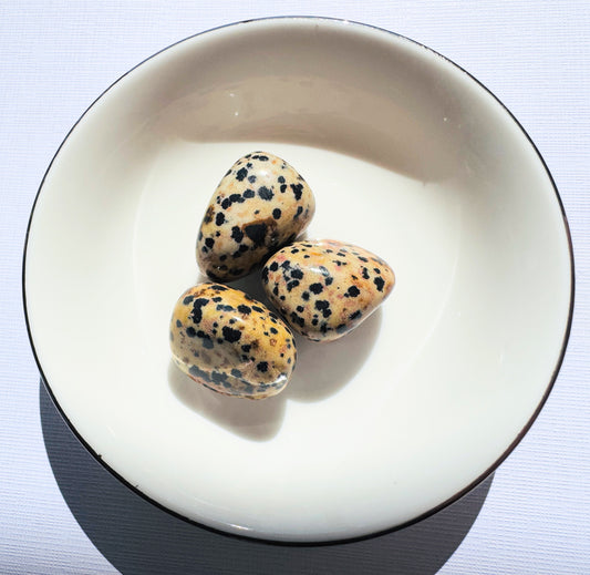 Dalmatian Jasper Tumble