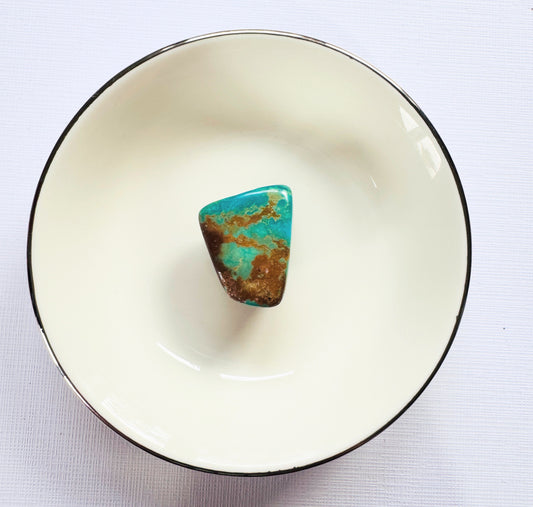 Turquoise Tumble 5