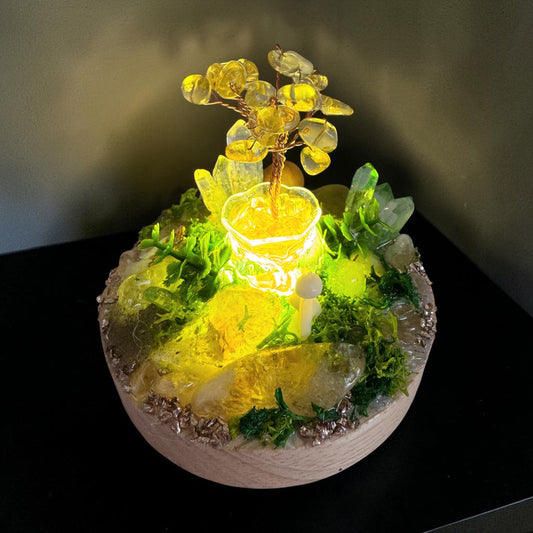 Citrine Fairy Garden