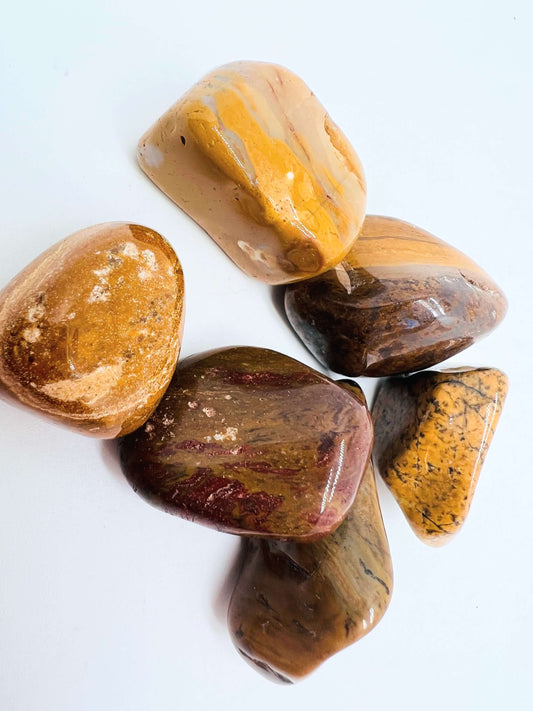 Several brown jasper tumbles on white background. 